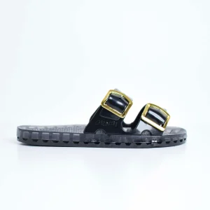 Sensi La Jolla Flamingo