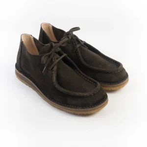 ASTORFLEX  - Polacco - 480 - Beenflex - Testa di moro