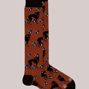 IN THE BOX - Calzini - Levriero - Arancione scuro